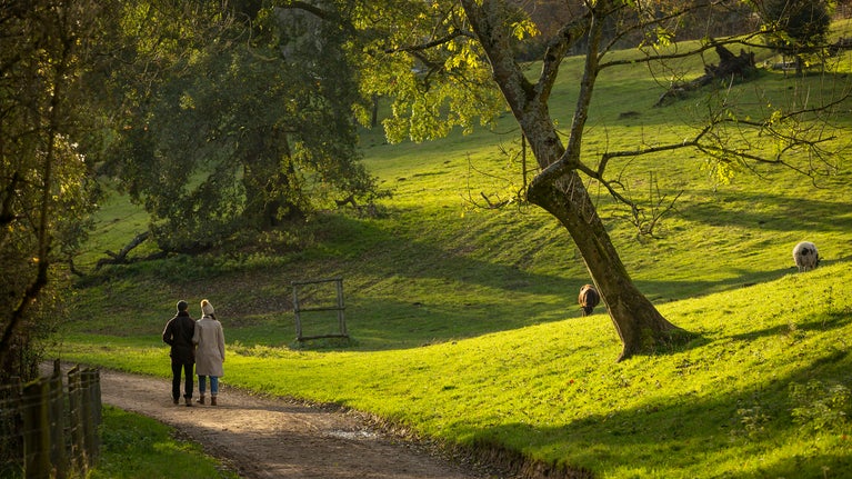 Visitors walking in autumn at Woodchester Park, Gloucestershire